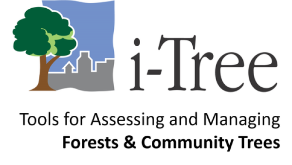 14/25 🌿 Data-Driven Green: I-Tree Transforms Trees Into Strategic City Assets