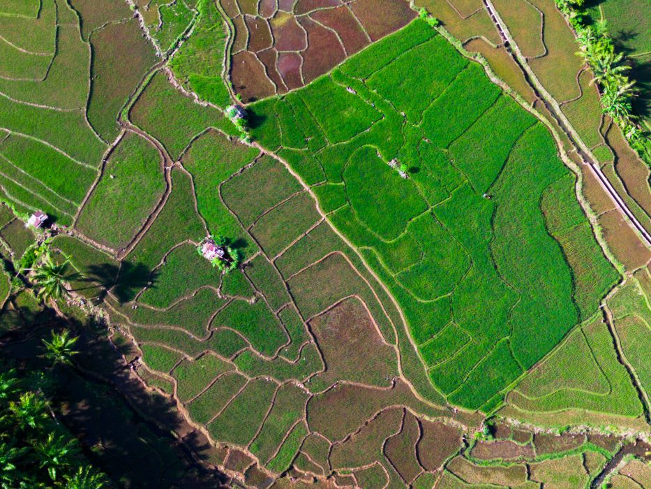 18/25 🌱 Earth’s Secret Transformation: The Global “Greening” Revolution