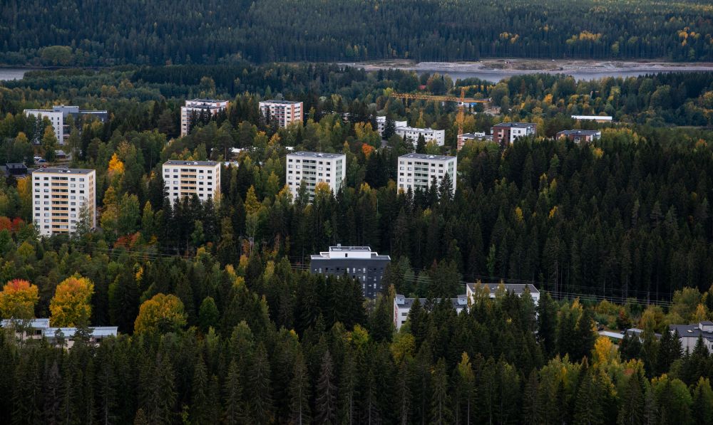 19/25 🌳 Climate vs. Trees: The Race That Forests Are Losing