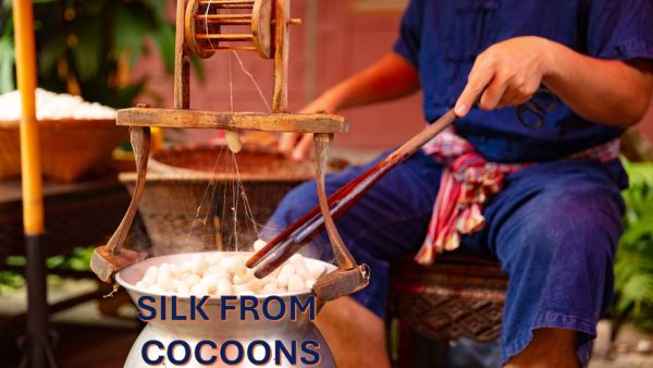 27/25 🌿 Strategic Note: Opportunities In Pakistan And Mulberry-Rich Countries For Silk Industry Growth And Climate Innovation