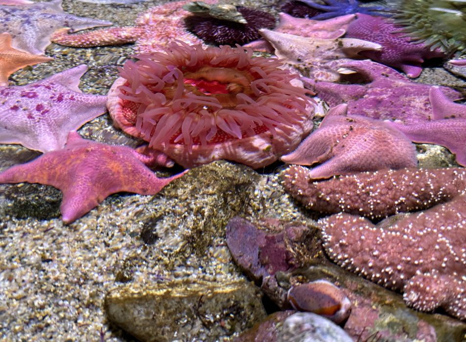 56/25 The Ocean’s Hidden Goldmine: How Life Thrives in the World’s Deepest Trenches