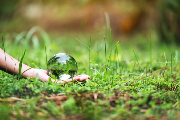 63/25 University Of Southern Punjab Multan, Pakistan Opens Environmental Science Course To Public