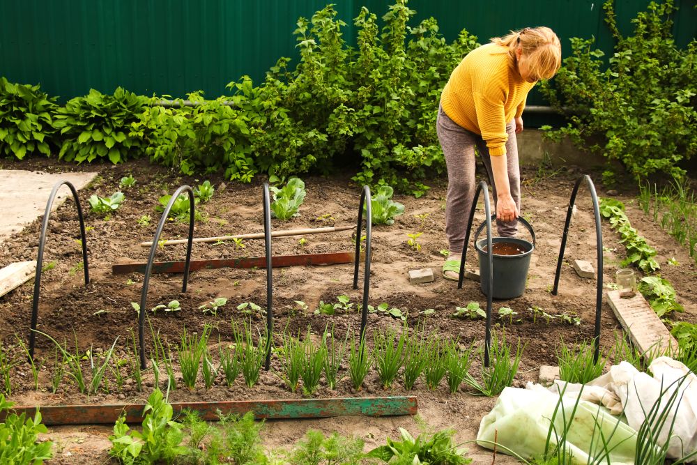 17/25 Cultivating Sustainability: How Vegetable and Fruit Gardening Supports Greener Communities